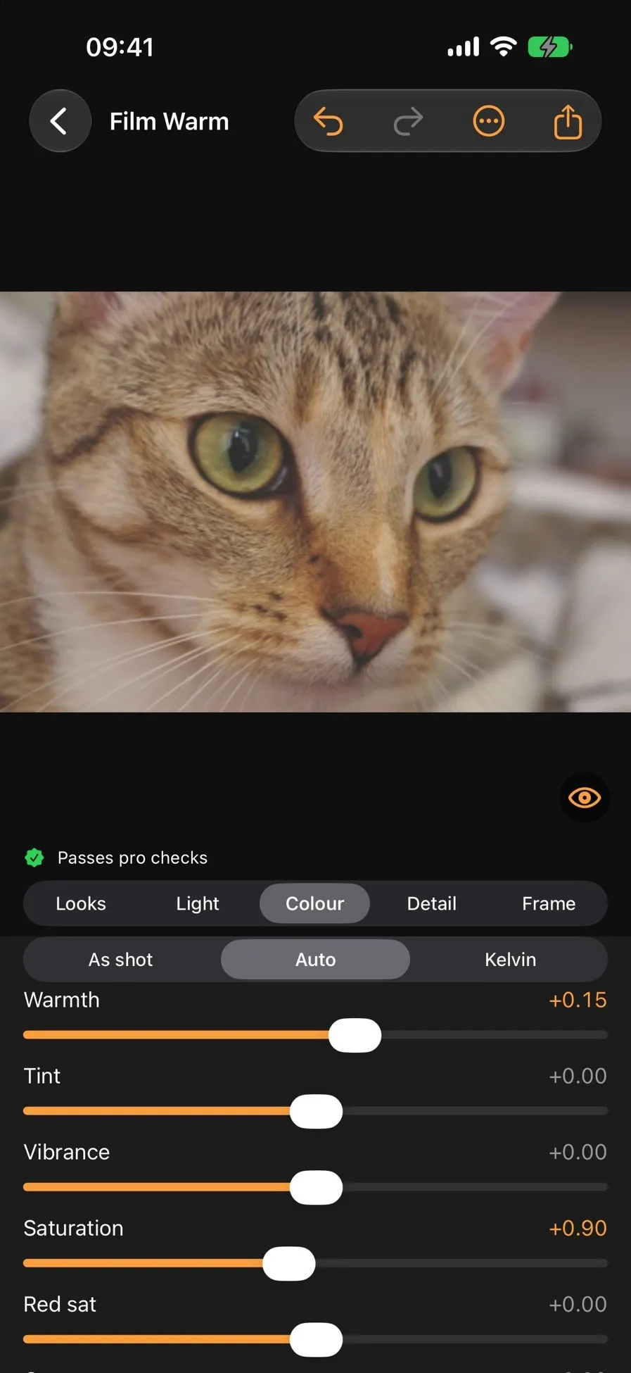 JK Graphic Editor: Colour controls with the Film Warm look